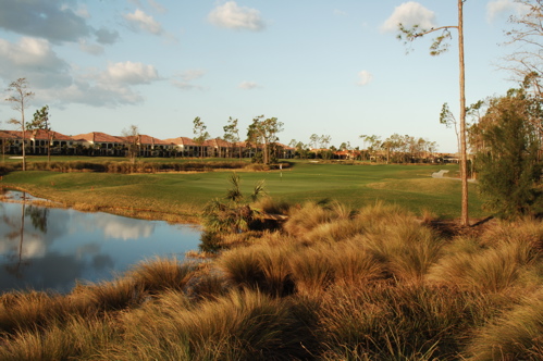 therookeryatmarco0072