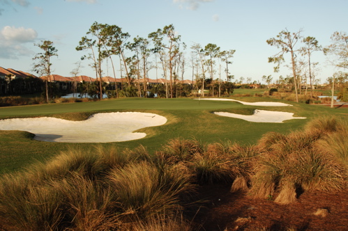 therookeryatmarco0073