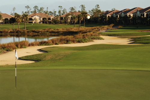 therookeryatmarco0087