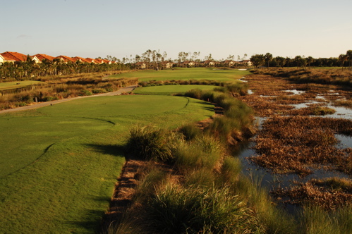 therookeryatmarco0099