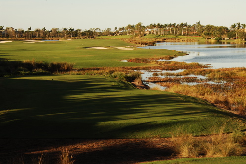 therookeryatmarco0101