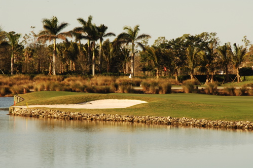 therookeryatmarco0103