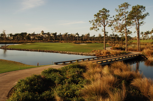 therookeryatmarco0105