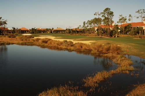 therookeryatmarco0010