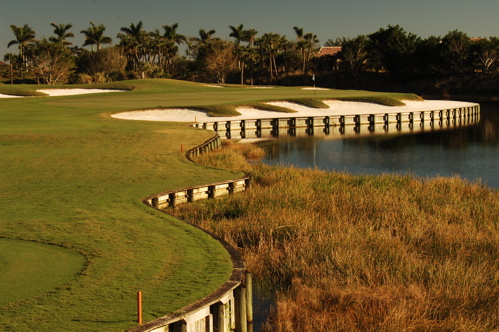 therookeryatmarco0361