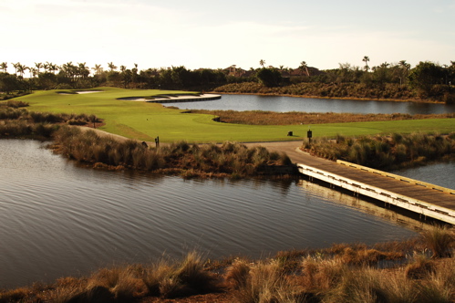 therookeryatmarco0024