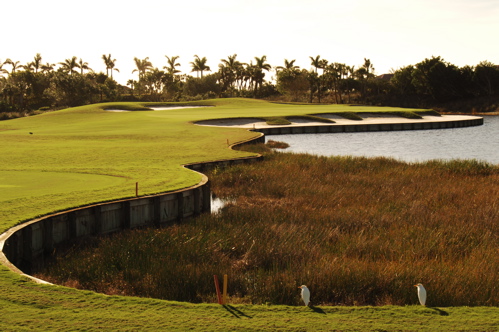 therookeryatmarco0027