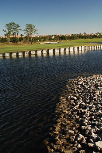 therookeryatmarco0049