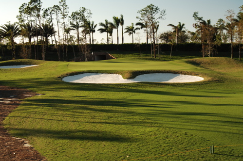 therookeryatmarco0125