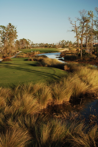 therookeryatmarco0139