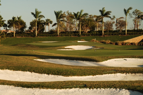 therookeryatmarco0157