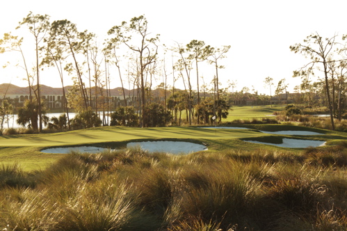 therookeryatmarco0162