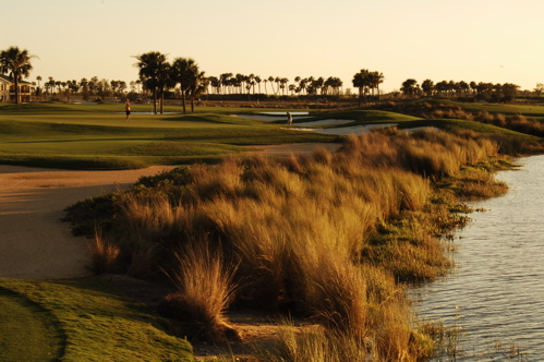 therookeryatmarco0109