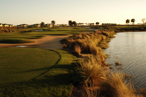 therookeryatmarco0110