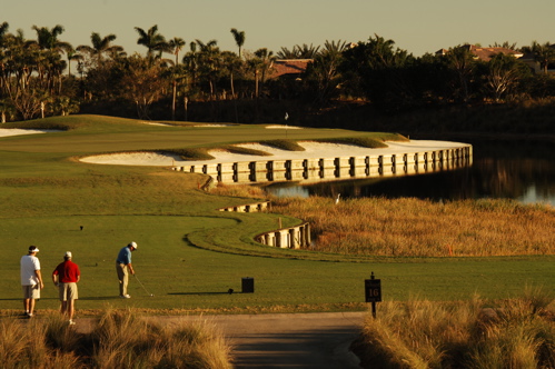 therookeryatmarco0297