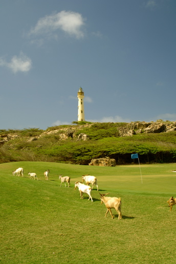 tierra del sol resort1557