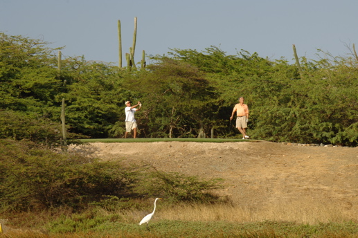 tierra del sol resort1768