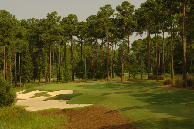 TPCMyrtleBeach0039