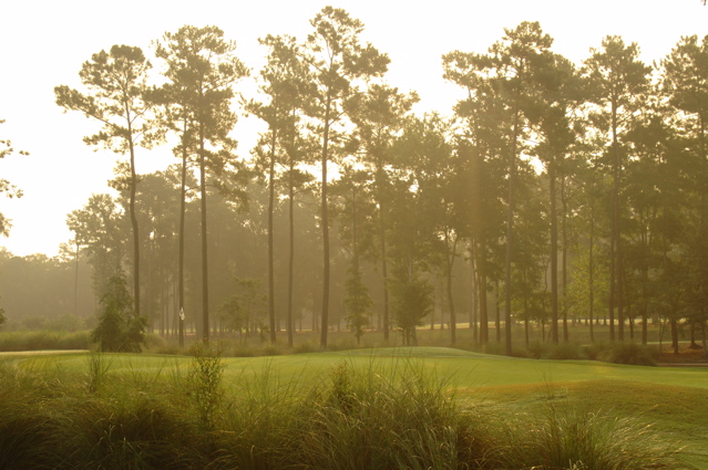 TPCMyrtleBeach0050