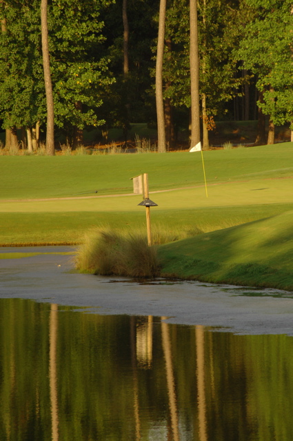 TPCMyrtleBeach0159