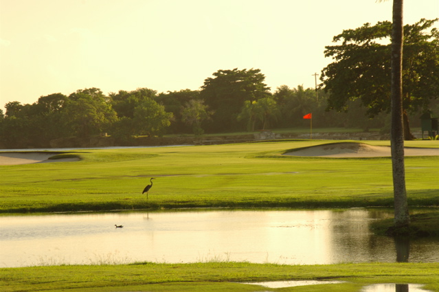 tryallclubjamaica0123