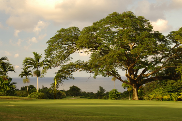 tryallclubjamaica0270