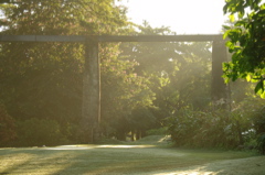 tryallclubjamaica0156