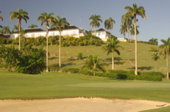 tryallclubjamaica0158