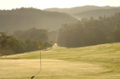 tryallclubjamaica0159