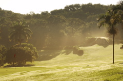 tryallclubjamaica0183