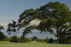 tryallclubjamaica0185