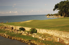 tryallclubjamaica0233