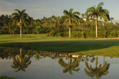 tryallclubjamaica0122