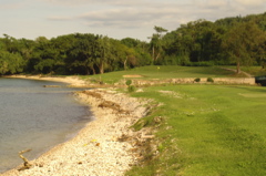 tryallclubjamaica0242