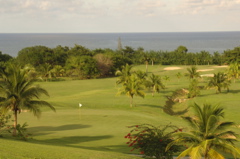 tryallclubjamaica0253