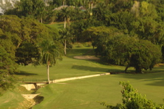 tryallclubjamaica0255