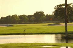 tryallclubjamaica0123