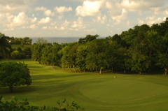 tryallclubjamaica0266