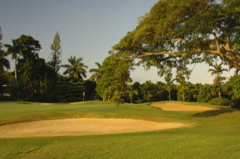 tryallclubjamaica0303