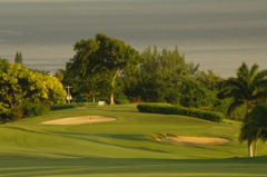 tryallclubjamaica0308