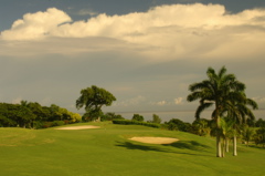 tryallclubgolfprimary0663