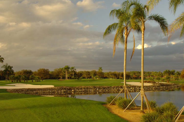 vineyardsnaplesnorthcourse0312