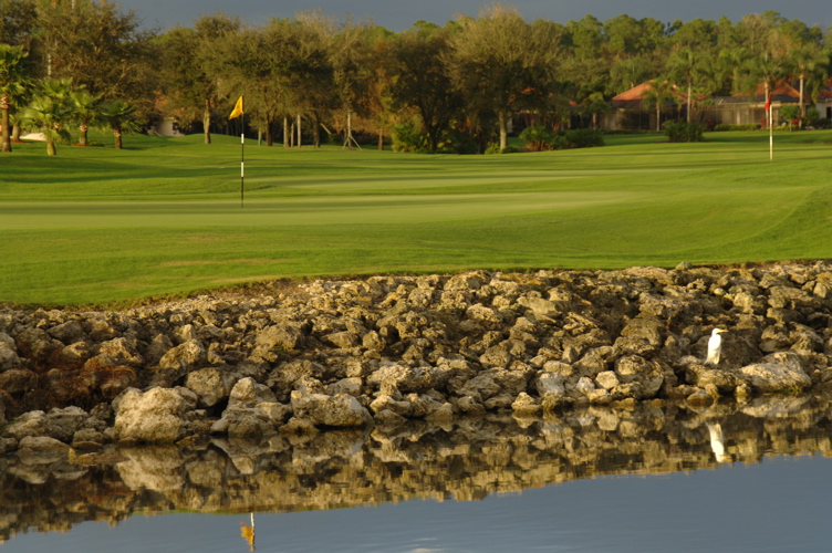 vineyardsnaplesnorthcourse0314