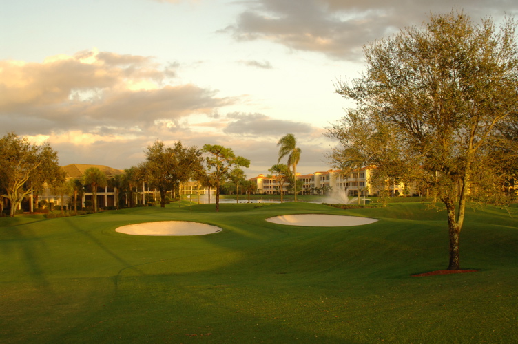 vineyardsnaplesnorthcourse0333