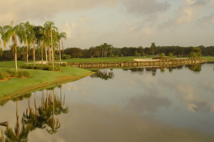 vineyardsnaplesnorthcourse0350