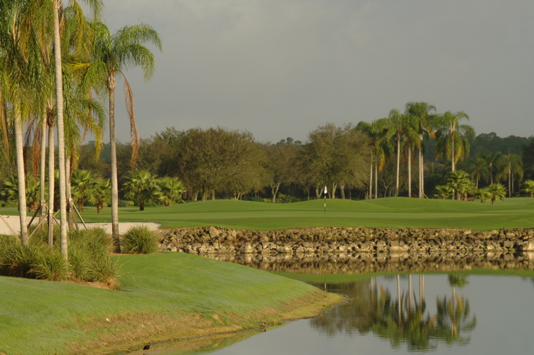 vineyardsnaplesnorthcourse0354