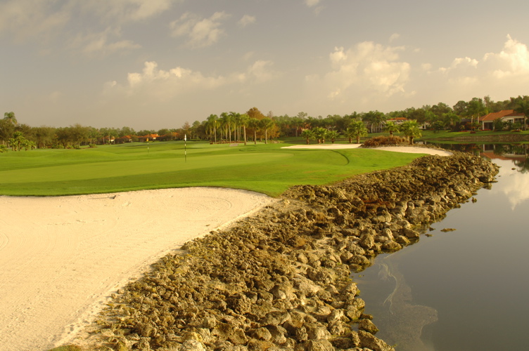 vineyardsnaplesnorthcourse0361