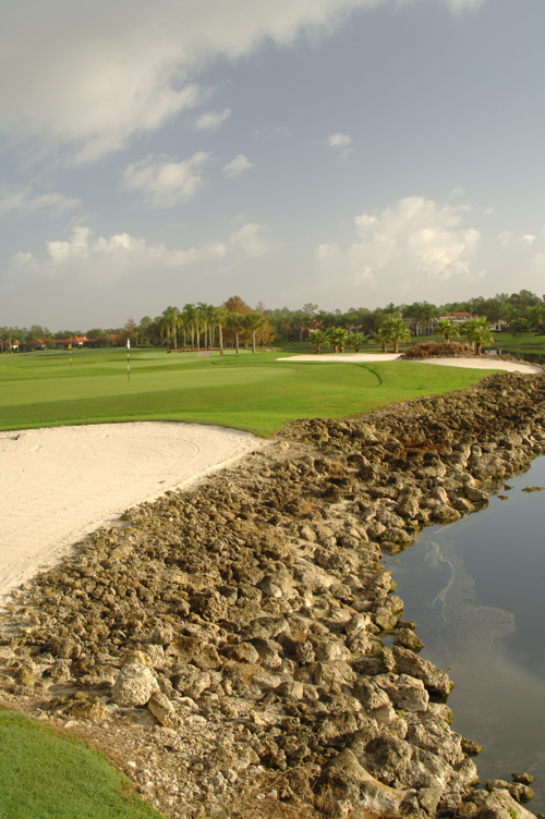 vineyardsnaplesnorthcourse0363