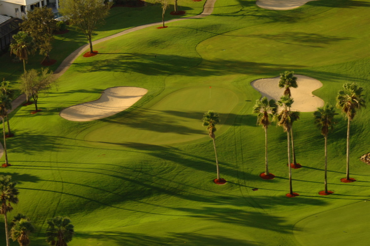 vineyardsnaplesaerialphotography0543