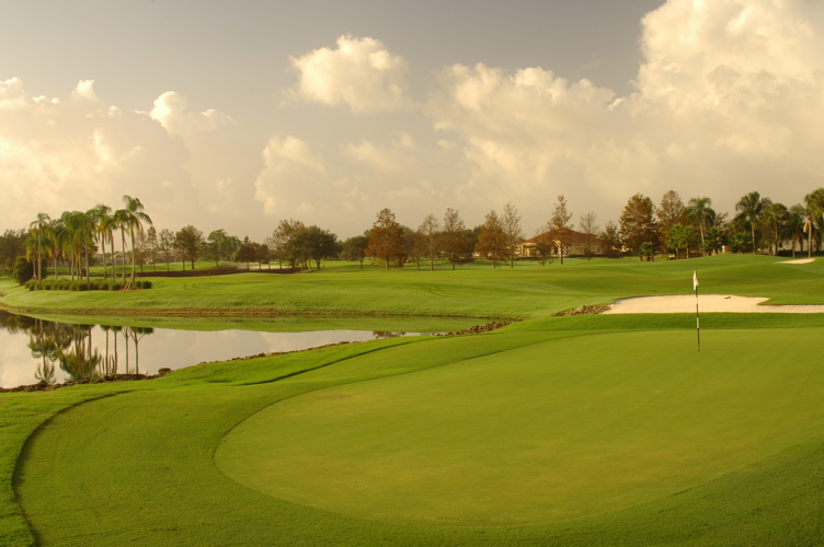 vineyardsnaplesnorthcourse0366